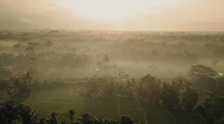 Misty green landscape in Bali